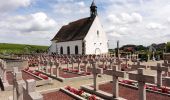 Tocht Stappen Molsheim - Les chapelles entre vignoble et canal - Avolsheim - Photo 5