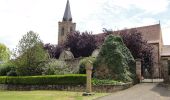 Percorso Marcia Molsheim - Les chapelles entre vignoble et canal - Avolsheim - Photo 2