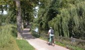 Tocht Stappen Molsheim - Les chapelles entre vignoble et canal - Avolsheim - Photo 1