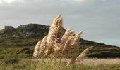 Tour Wandern Saint-Jean-du-Doigt - Randonnée de Saint Jean du Doigt à Primel Trégastel - Photo 1