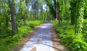 Trail Walking Le Bois-Plage-en-Ré - Promenons-nous dans le bois -  Le Bois Plage en Ré - Photo 1