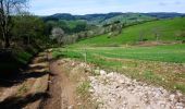 Tour Mountainbike Ouches - La Ouchoise (2013-VTT-46km) - Ouches - Photo 4