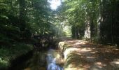 Excursión Bici de montaña Verdun-en-Lauragais - BDM le lac du Lampy - Photo 6