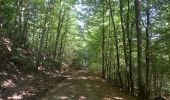 Trail Walking Saint-Hubert - Saint-Hubert - Circuit Natura 2000, des sites qui valent le détour - Lx16 - Photo 10