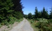 Trail Walking Saint-Hubert - Saint-Hubert - Circuit Natura 2000, des sites qui valent le détour - Lx16 - Photo 11