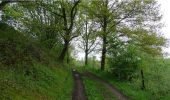 Trail Walking Florennes - De Florennes à Saint-Aubin par le hameau de Chaumont - Photo 2