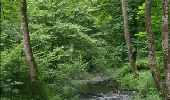 Tocht Stappen Houyet - Natuur - Wandeling van het Park d'Ardenne  - Photo 17