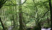 Tocht Stappen Houyet - Natuur - Wandeling van het Park d'Ardenne  - Photo 18