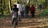 Tocht Stappen Houyet - Natuur - Wandeling van het Park d'Ardenne  - Photo 3