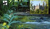 Tocht Stappen Houyet - Natuur en erfgoed - Wandeling van het kasteel van Vêves - Photo 17