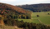 Tour Wandern Rochefort - Nature - The view from the Belvédère in Han-sur-Lesse - Photo 3