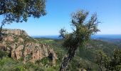 Tocht Lopen Fréjus - Estérel  - Photo 1