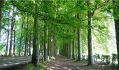 Tocht Stappen Morlanwelz - Balade dans le Parc et le Bois de Mariemont - Photo 8
