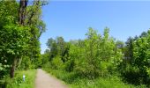 Trail Walking Morlanwelz - Balade dans le Parc et le Bois de Mariemont - Photo 2