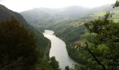 Tour Wandern Réquista - 11ème randonnée de la fête de la brebis - Photo 4