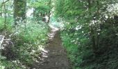 Trail Running Berthen - mont des cats - Photo 6