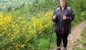 Trail Walking La Bresse - la bresse la roche de minuit - Photo 1