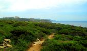 Trail Walking Bonifacio - Bonifacio_sentier des plages - Photo 8