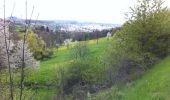 Trail Walking Brives-Charensac - brives chrensac - Photo 1