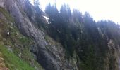 Trail Walking La Roche-sur-Foron - Boucle Sur Cou Roche Parnal Chalet de la Balme.gpx - Photo 2