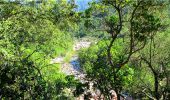 Trail Walking Zonza - la rivière du Cavu - Photo 17