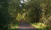 Randonnée Vélo Rochefort - Nature - Circuit cyclo à la découverte de Rochefort et des villages d''Eprave, Lessive et Villers - Photo 17