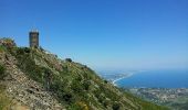 Trail Walking Collioure - tour de Madeloc - Photo 1