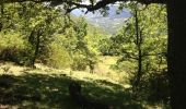 Tour Wandern Lauroux - cirque de labeil - Photo 9