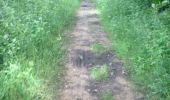 Trail Walking Combrit - le polder combrit - Photo 5