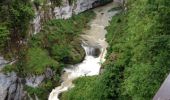 Randonnée Marche Le Vaudioux - cascade de la billaude  - Photo 4