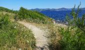 Trail Walking Ramatuelle - chemin du littoral : Pampelone St Tropez - Photo 6