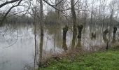 Trail Walking Le Vanneau-Irleau - Le Vanneau circuit sec - Photo 4