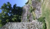 Tour Mountainbike Le Versoud - VTT château de Montfort - Photo 2