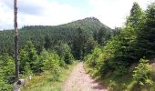 Trail Walking Grandfontaine - Le site des 2 Donons - Photo 13