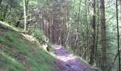 Trail Walking Malmedy - ferme libert tro maret - Photo 12