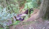 Trail Walking Malmedy - ferme libert tro maret - Photo 6
