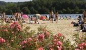 Tocht Stappen Monampteuil - Le lac de Monampteuil - Photo 8