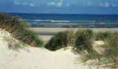 Trail Walking Zuydcoote - Circuit de la dune marchand - Photo 3