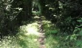 Trail Running Marchiennes - marchiennes rieulay - Photo 1