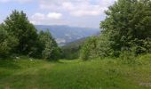 Excursión Senderismo Lans-en-Vercors - Les Allières par dessus - Photo 2