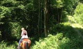 Trail Equestrian Bouillon - balade 2 frahan  - Photo 9