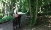 Trail Equestrian Bouillon - balade 2 frahan  - Photo 8