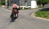 Trail Equestrian Bouillon - balade 2 frahan  - Photo 6