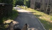 Trail Equestrian Bouillon - balade 2 frahan  - Photo 2