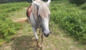 Trail Equestrian Hasparren - marmauko errobia - Photo 1