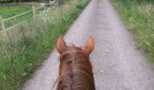 Trail Equestrian Jouey - Forêt Buan - Photo 6