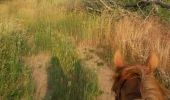 Trail Equestrian Jouey - Forêt Buan - Photo 3