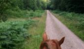 Trail Equestrian Jouey - Forêt Buan - Photo 2
