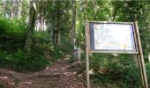 Trail Walking Viroinval - Balade dans le Viroinval - Nismes - Photo 4