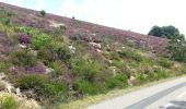 Randonnée Vélo Les Aires - lamalou, la croix de mounis - Photo 2